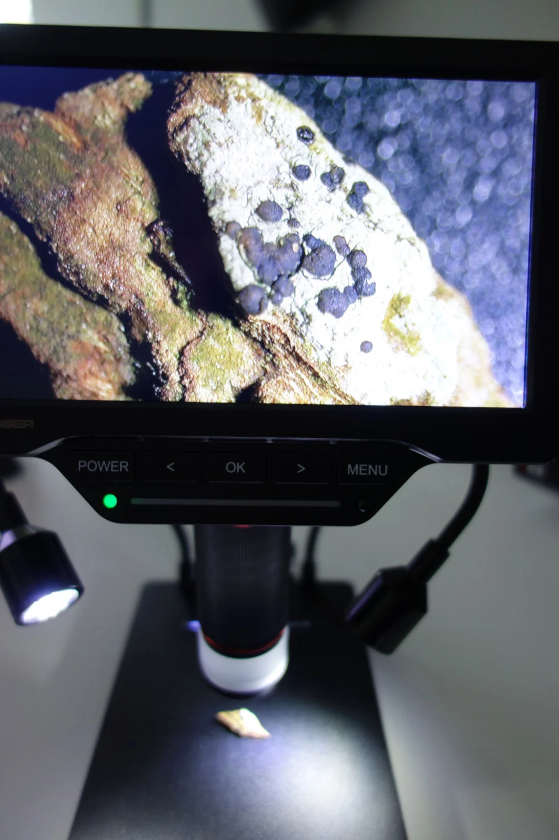 Materiaal onder microscoop