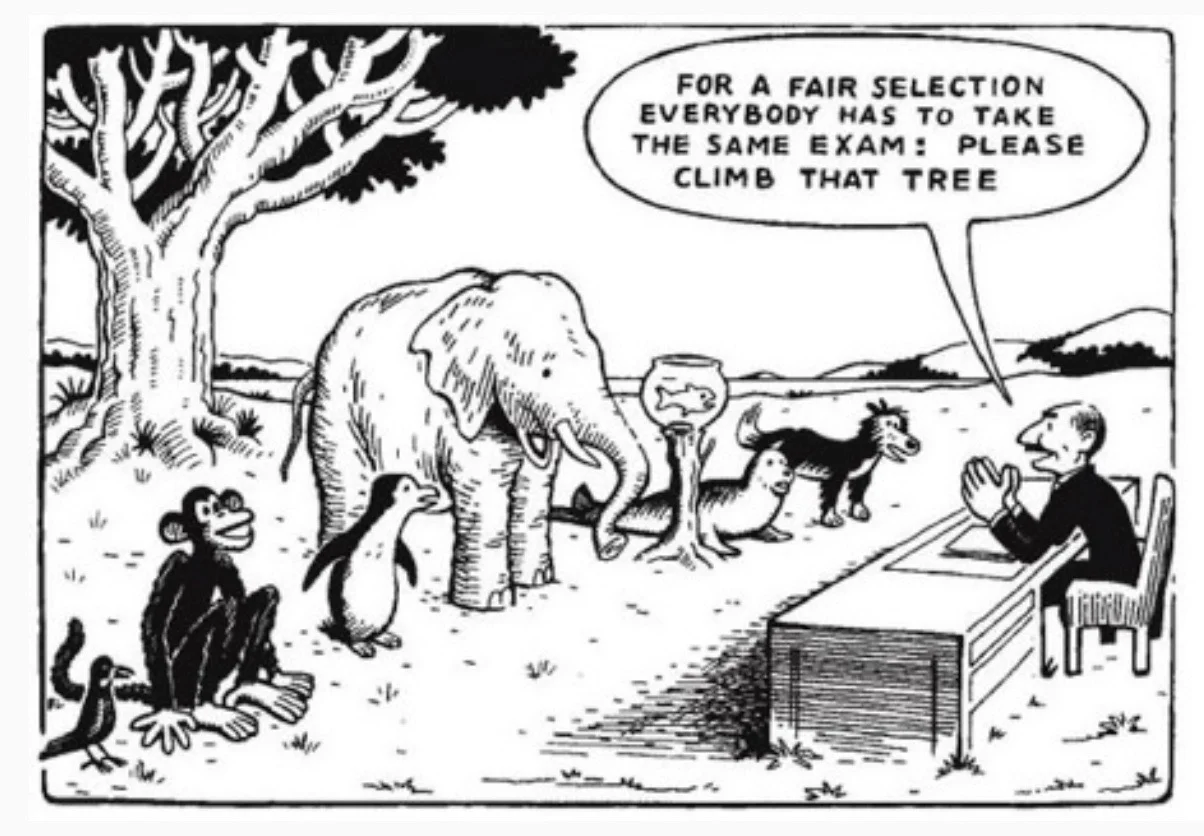Cartoon dieren en examen