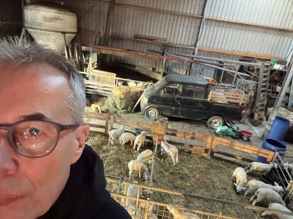 Dansers met schapen en een stukje van mijzelf
