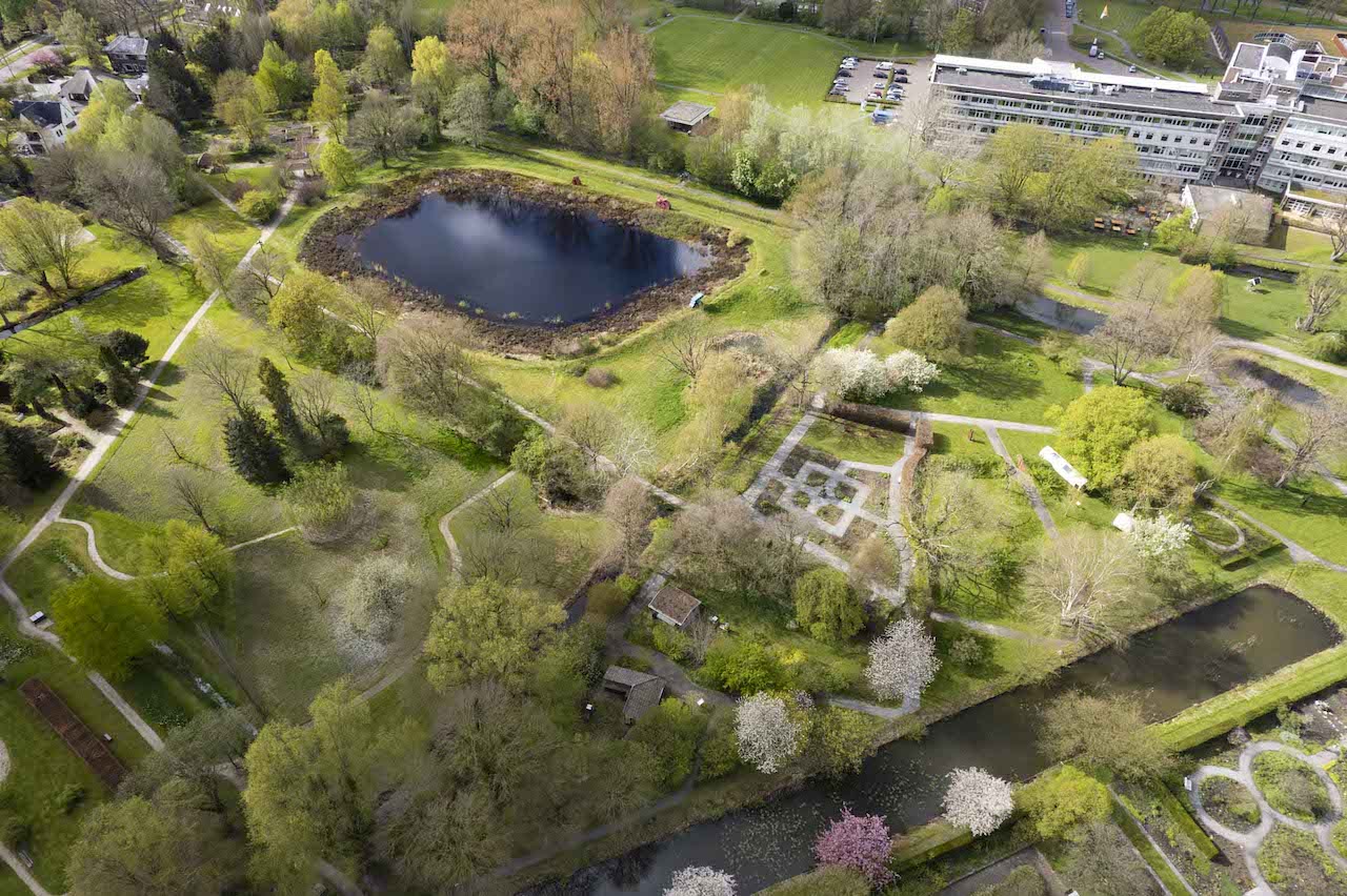 Middendeel tuin kopie