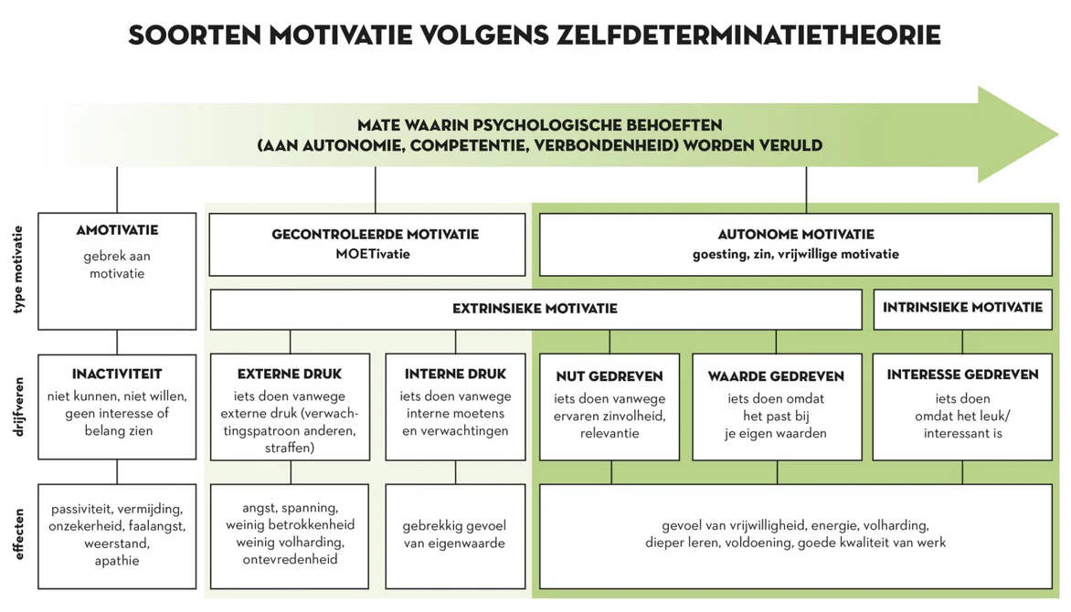 Motivatie model